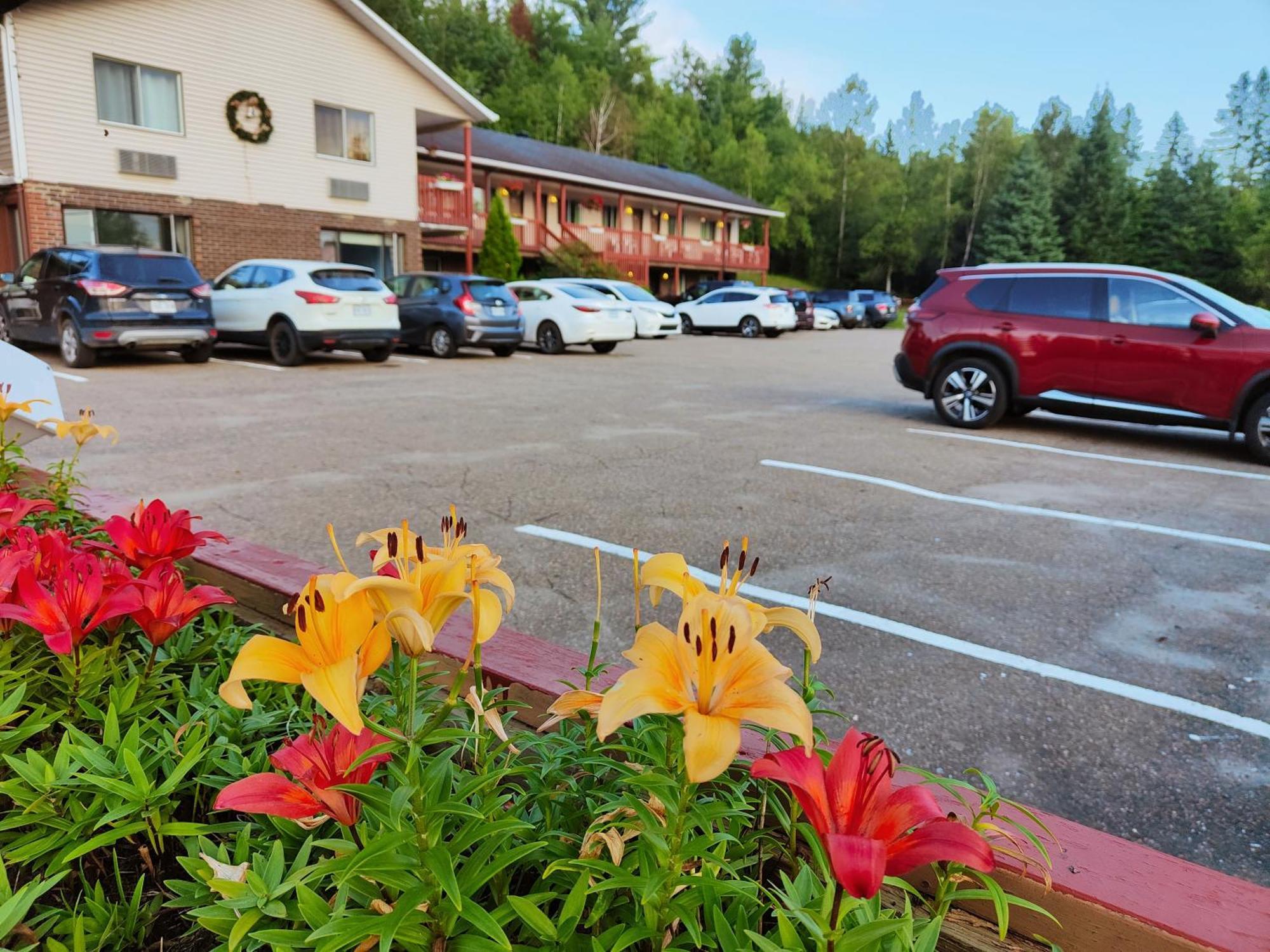 Motel Le Radisson De Val-David Eksteriør bilde